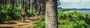 Guided mountain biking surrey hills south downs wales peak district lake distirct scotland mtb skills coaching