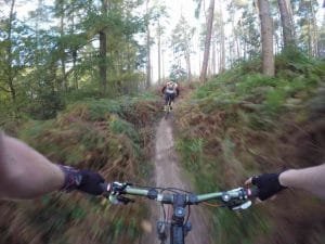 south downs mountain biking friston forest mtb guided rides