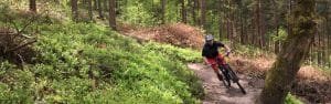 guided mtb rides surrey hills mountain biking
