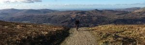 Contact Marmalade MTB