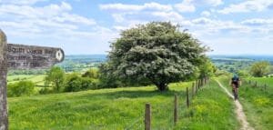 Cycling the south downs way
