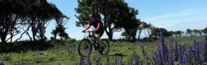 Guided mountain biking surrey hills south downs wales peak district lake distirct scotland mtb skills coaching
