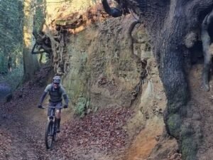 Surrey Hills and North Downs MTB Rides Guided Events