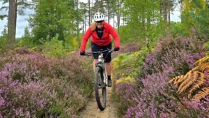 Guided rides on the Surrey Hills and North Downs with Marmalade MTB near London