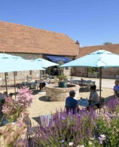 Sussex vineyard tours corporate experiences events mountain biking wiston