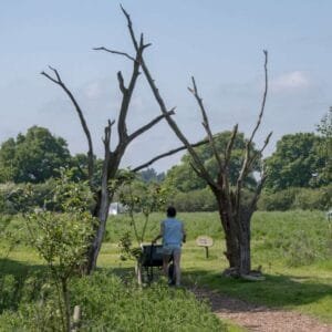 Mason Cycles bikepacking trip to Knepp estate on the south downs