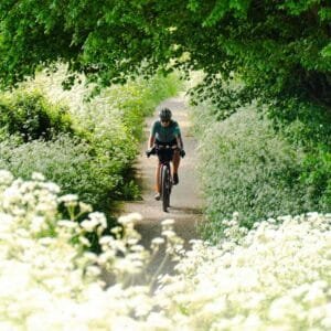 Mason Cycles bikepacking trip to Knepp estate on the south downs