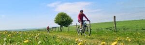 Cycling the south downs way in sections
