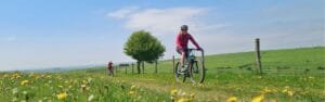 Responsible travel policy for Marmalade MTB a provider of guided mountain bike trips in the UK