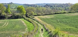 Guided mountain bike ride on the Surrey Hills and North Downs featuring the Lovelace Bridges close to London