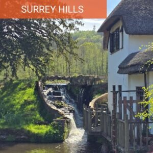 Guided mountain bike ride on the Surrey Hills and North Downs featuring the Lovelace Bridges close to London