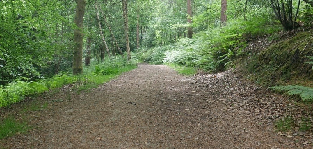 Cycling the South Downs Way