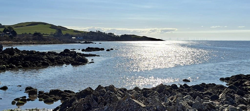 Dumfries and Galloway guided mountain bike trip with Marmalade MTB.